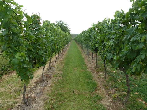 Dietrich Sundowner Perlwein rosé
