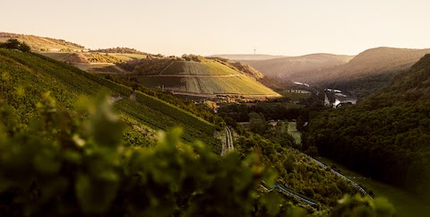 Dönnhoff Pinot Sekt 2021 Brut