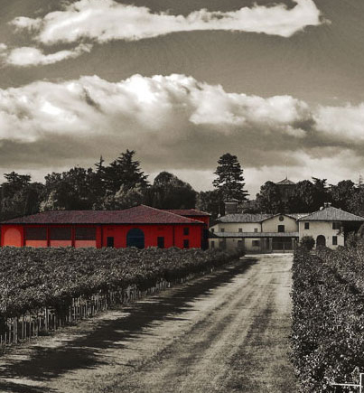 Lambrusco Rose Di Bacco Rosso Amabile frizzante
