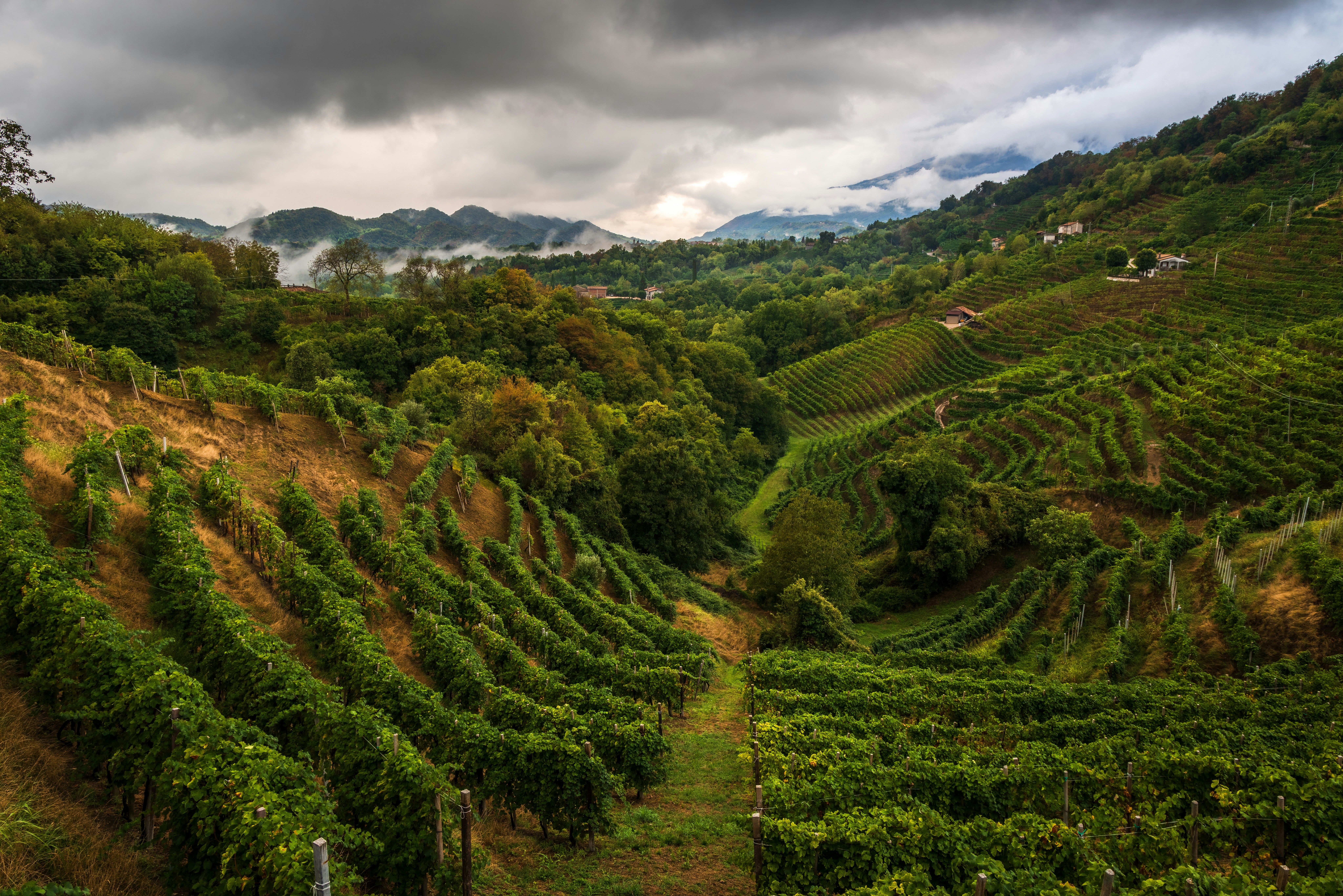 Franciacorta und Trentodoc: Italiens Flaschengärung