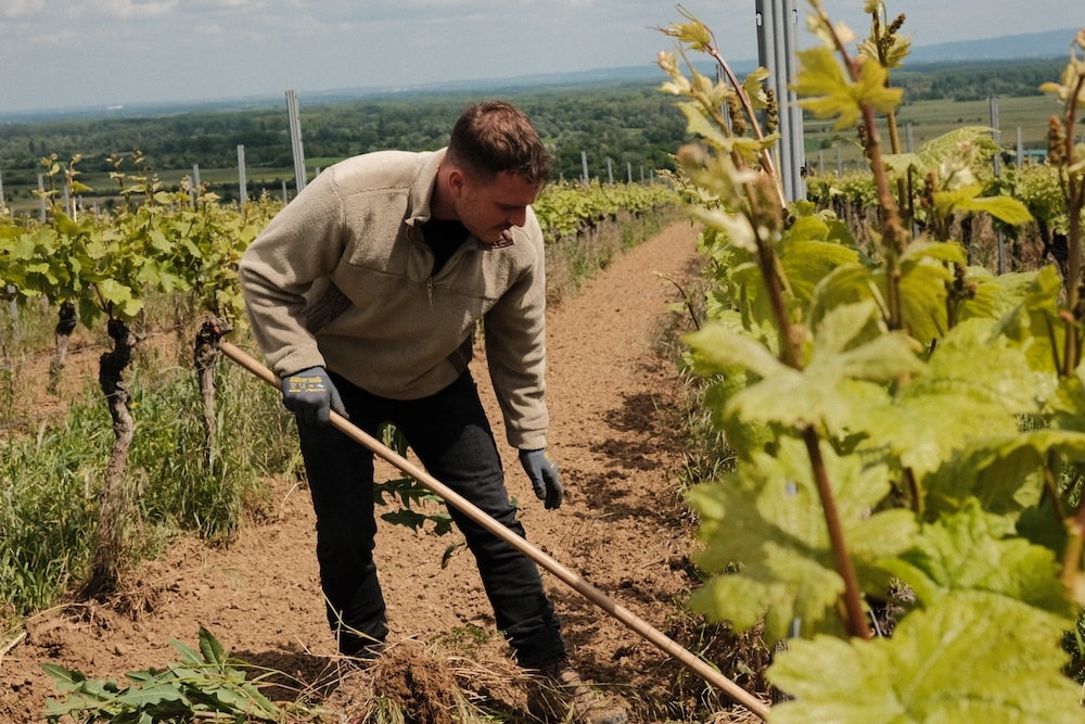 Weingut Kissinger