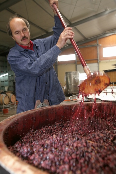 Martin Waßmer Pinot Rosé Sekt brut