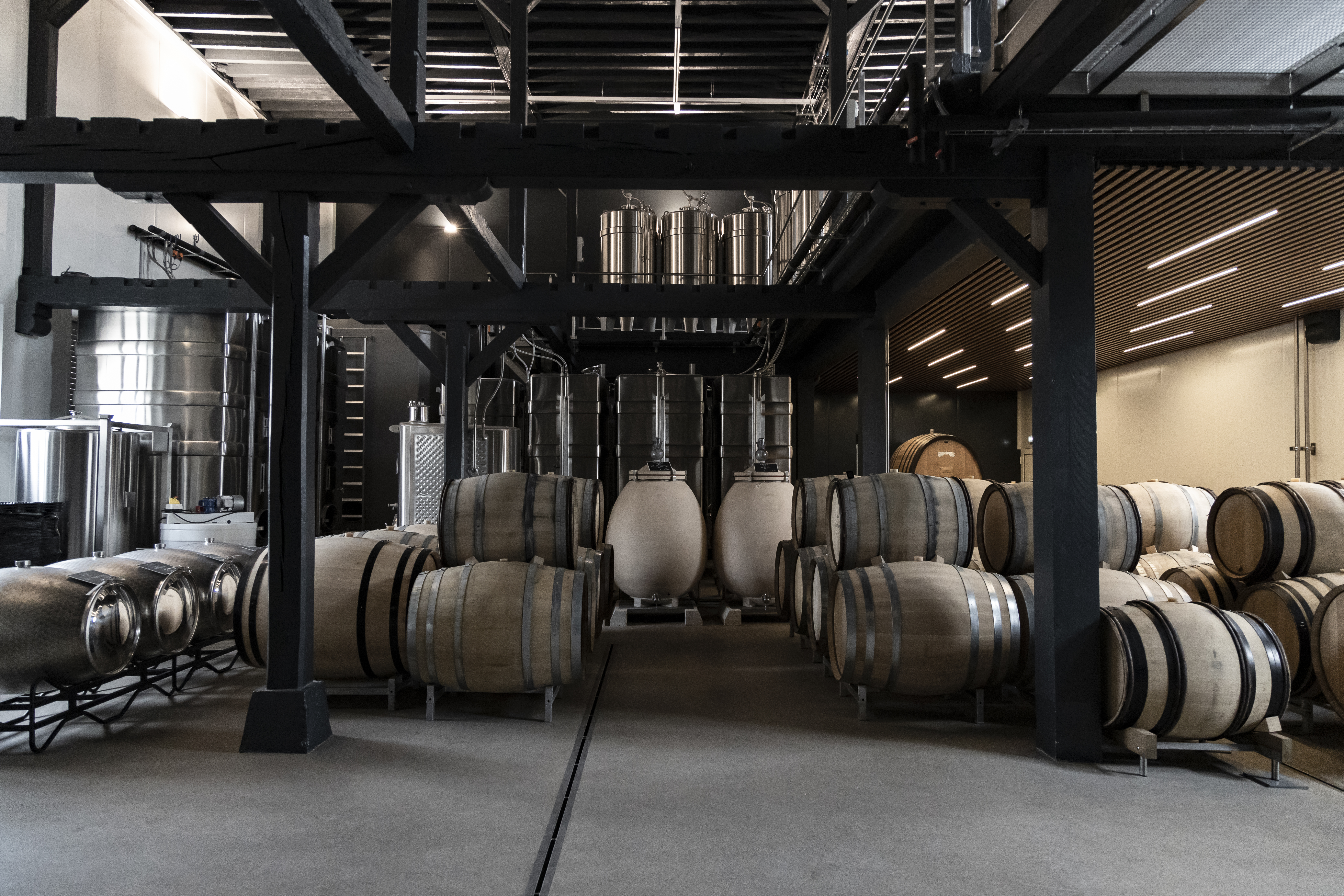 Moderner Gärkeller mit Holzfässern, Betoneiern und Edelstahltanks