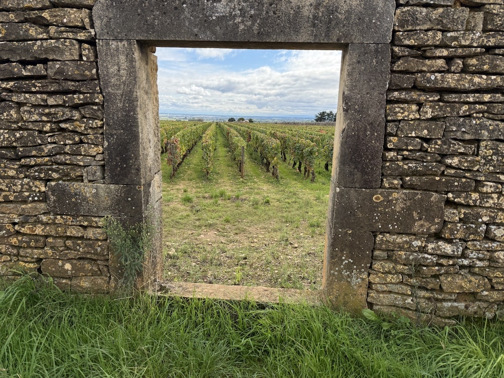 Anne Gros La Fun en Bulles Cremant de Bourgogne Blau Brut