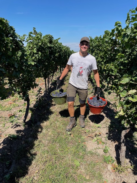 Weingut Andres 6670 Rosé brut