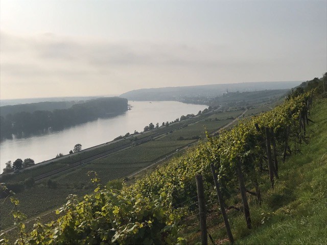 Battenfeld Spanier Blanc de Blancs 2016 Extra Brut BIO