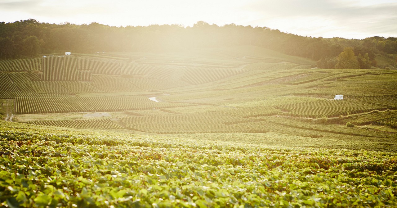 Krug Clos du Mesnil Blanc de Blancs 2009 Brut