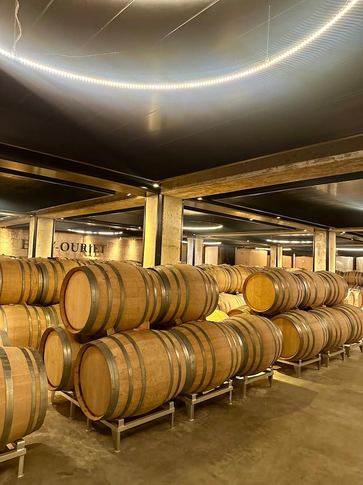 Egly-Ouriet Les Prémices Extra Brut
