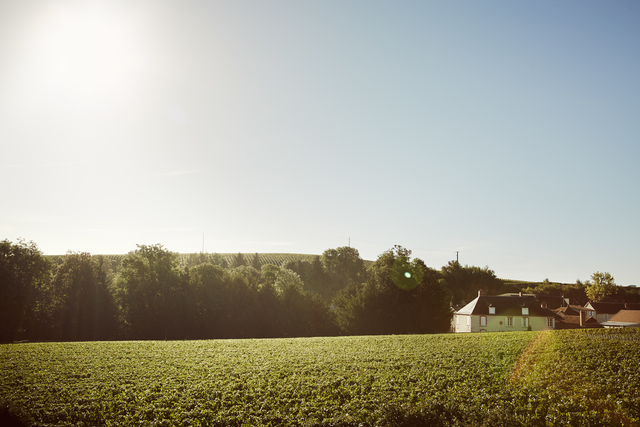 Krug Clos d'Ambonnay Blanc de Noirs 2006 Brut