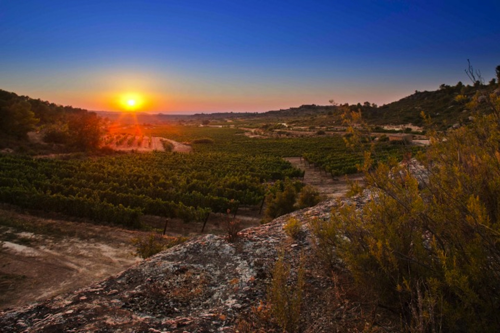Cava, Corpinnat, Clàssic Penedès: Der Bruch in Katalonien