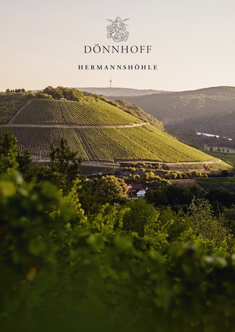Dönnhoff Pinot Sekt 2021 Brut